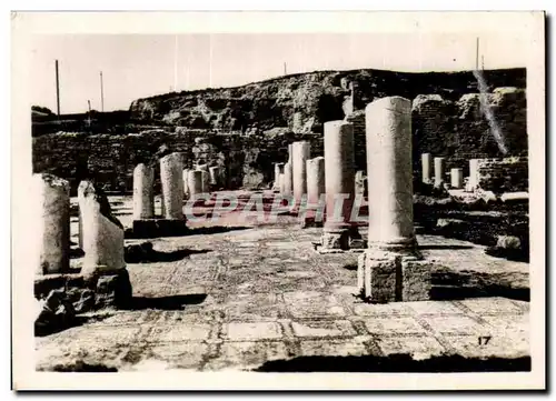 Cartes postales moderne Tunisie Carthage