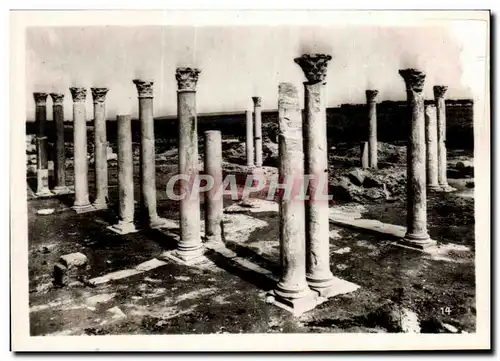 Cartes postales moderne Tunisie Carthage