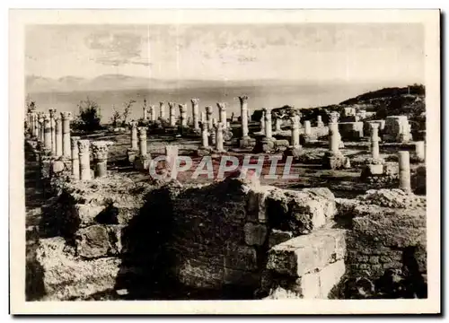 Cartes postales moderne Tunisie Carthage