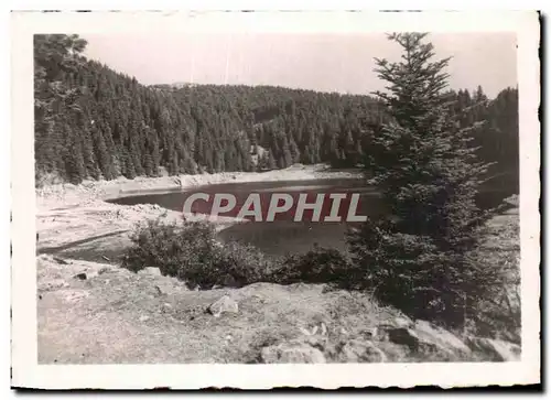 Cartes postales Les Hautes Vosges Le Lac Vert