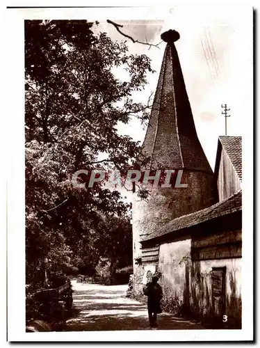 Cartes postales moderne Ribeauville tour des cigognes