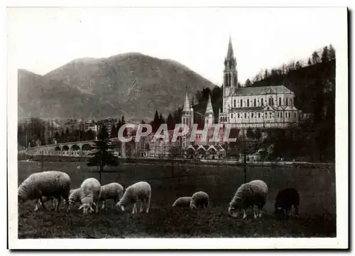 Cartes postales moderne Lourdes la basilique