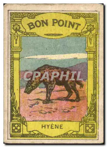 Image Bon Point Hyene Phosphate Vital de Jacquemaire