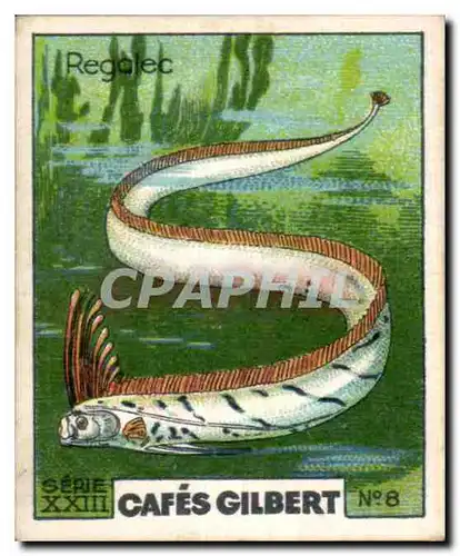 Image Cafes Gilbert Regalec Cafes Gilbert Poisson