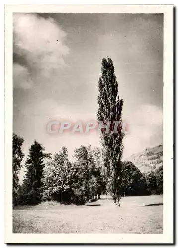 Cartes postales moderne Chapelle de ND sous la Croix Uriage