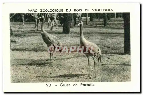 Image Parc zoologique du bois de vincennes Zoo Grues de Paradis