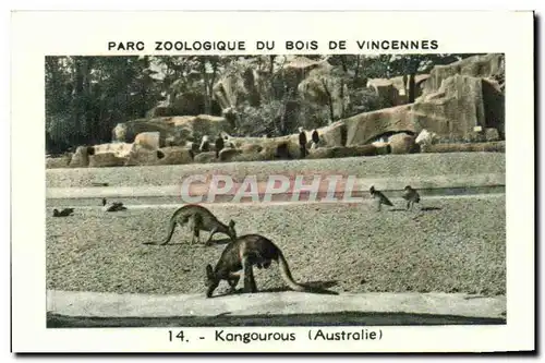 Image Parc zoologique du bois de vincennes kangourous australie