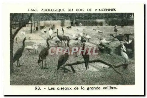 Image Parc zoologique du bois de vincennes les oiseaux de la grande voliere