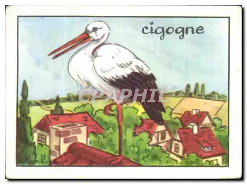 Image Cigogne