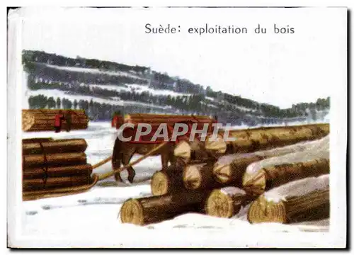 Image Suede exploitation du bois Sweden