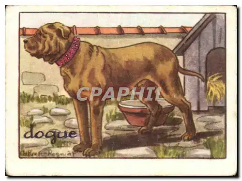 Image Dogue Chien