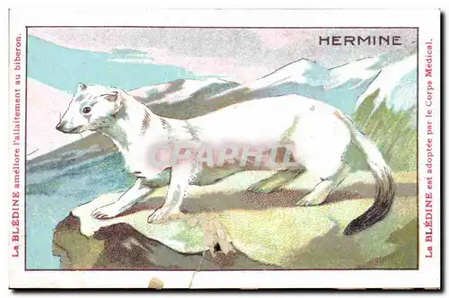 Image Hermine Bledine