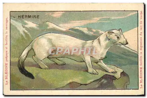 Image Hermine Bledine Jacquemaire Villefrance