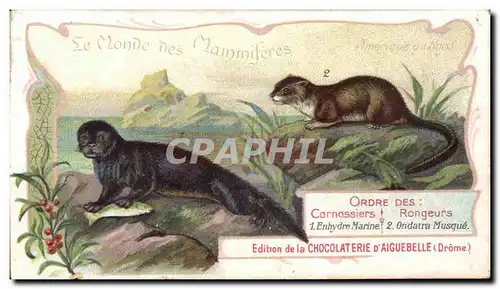 Chromo Chocolaterie d&#39Aiguebelle Carnassiers rongeurs Enhydre marine Ondatra musque