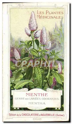 Chromo Chocolaterie d&#39Aiguebelle Les Plantes Medicinales Menthe Genre Des Labiees Odorantes Menth