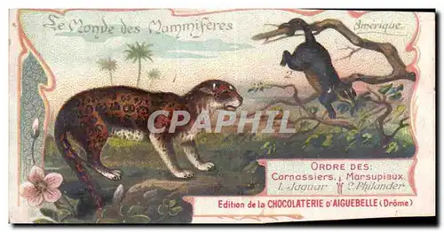 Chromo Le Monde des Mammiferes Ordre des Carnassiers Primates Chocolaterie d&#39Aiguebelle Drome