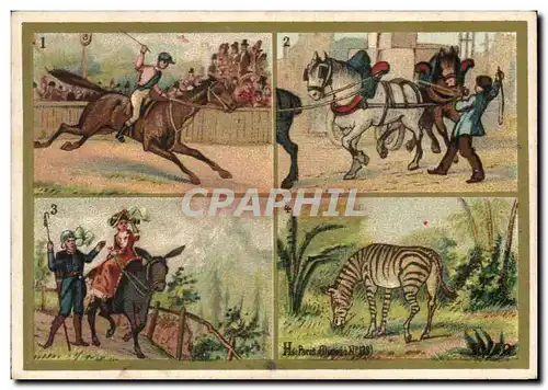 Chromo Les Pachydermes Zebre Ane Donkey Cheval Horse
