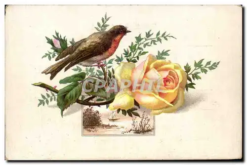 Image chocolat Besnier Fleurs Roses Oiseau