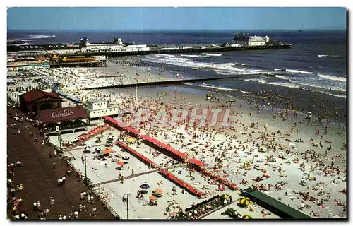 Cartes postales Bathers And The Beach At Atlantic City A bird