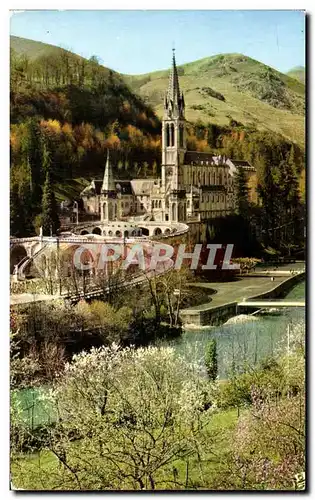 Cartes postales moderne Lourdes La Basilique et le Gave The Basilica and the Gave