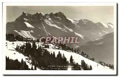 Cartes postales Caux en hiver et les dents du Midi