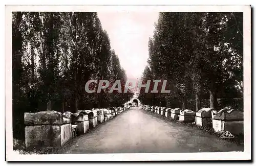 Cartes postales Arles les aliscamps allee des tombeaux