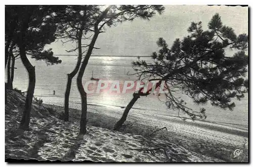 Cartes postales Bassin d arcachon coucher de soleil