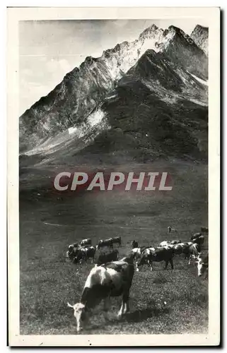 Cartes postales Paturage au col des Aravis Vaches