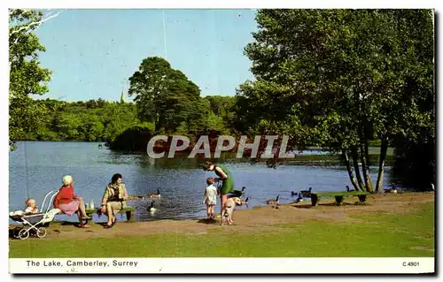 Cartes postales The Lake Camberley Surrey