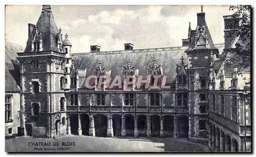 Cartes postales Chateau De Blois