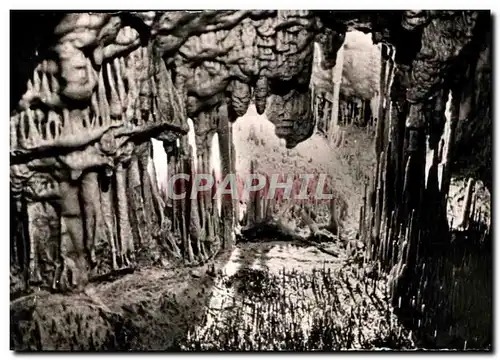 Cartes postales Monaco les grottes de l'observatoire dans le jardin exotique Plafond vermiculaire