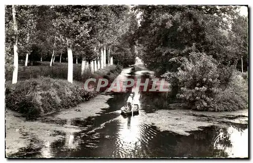 Cartes postales la venise verte deux sevres sur la grande rigole dans le marais poitevin
