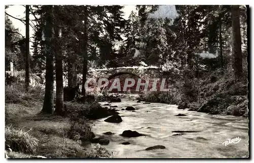 Cartes postales Gerardmer Le Pont Des Fees Sur La Vologne