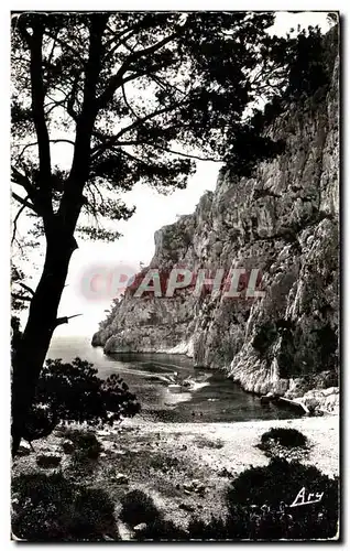 Cartes postales Cassis Echuppee Sur La Calanque d&#39en haut