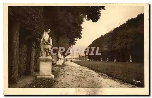 Cartes postales Versailles Le tapis vert