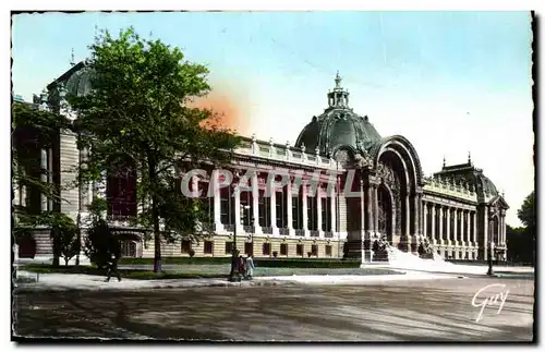 Ansichtskarte AK Paris Et Ses Merveilles Le petit Palais