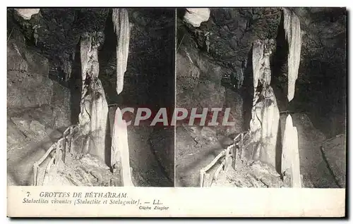 Cartes postales Grottes De Betharram Stalactites vivantes