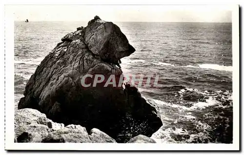 Ansichtskarte AK La Grande Cote Etude De Rochers L&#39Ours Polaire