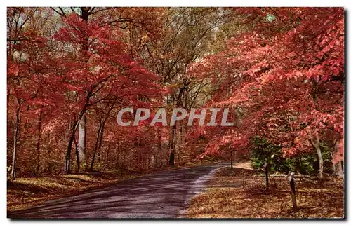 Cartes postales Mohawk Trail Mass