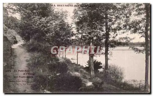 Cartes postales La Bretagne Le petit bois et l&#39etang des ponts neufs