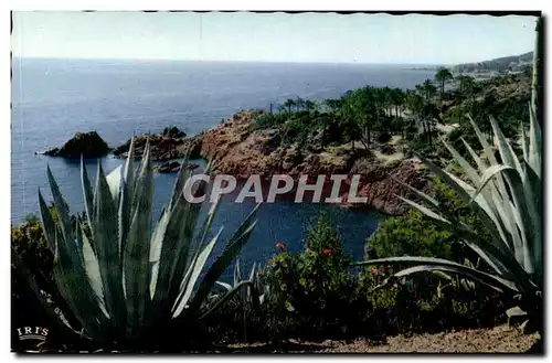 Cartes postales Reflets De La Cote D&#39Azur La Corniche D&#39Or Rivages Mediterraneens