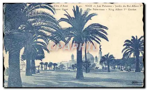 Cartes postales Nice Les Palmiers Jardin du Roi Albert 1er