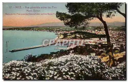 Cartes postales Nice Vue generale entre les Pins Mont Boron