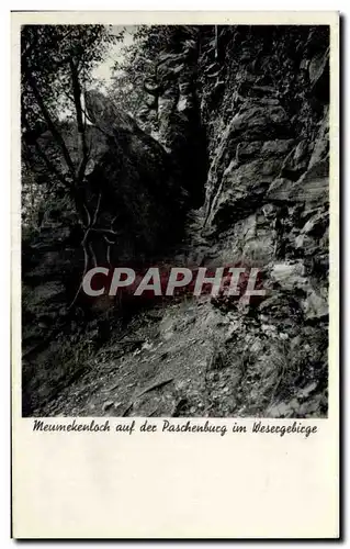 Cartes postales Meumekenloch auf der Paschenbucg in Wesergebiege