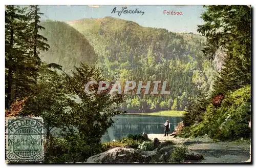 Cartes postales Feldberg Feldsee Schwarzwald