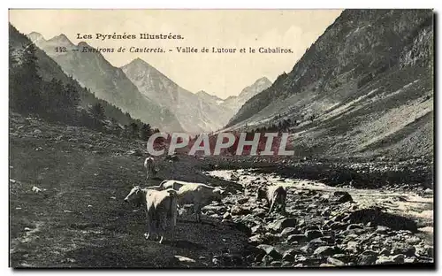 Ansichtskarte AK Les Pyrenees Illustrees Environs de Cauterets Vallee de Lutour et le Cabaliros Vaches