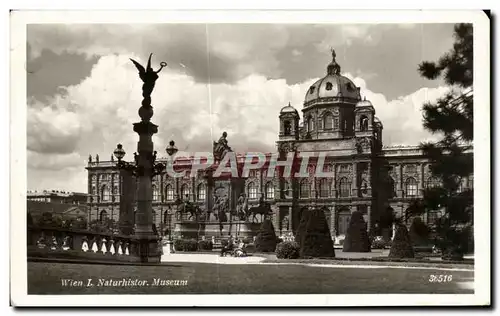 Cartes postales Wien I Naturhistor Museum