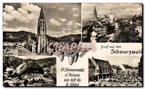 Cartes postales Gruss aus dem Schwarzwald Freiburg