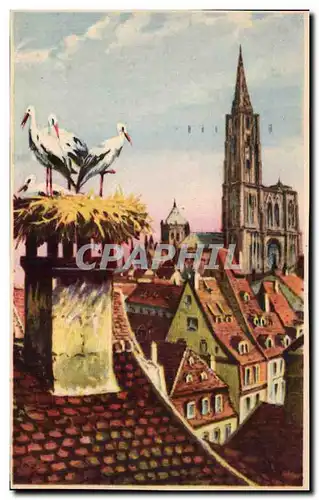 Cartes postales Strasbourg Nid de Cigognes et la cathedrale