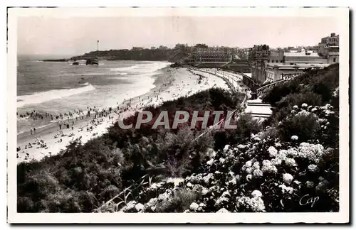 Ansichtskarte AK Biarritz Les Hortensias et la Grande Plage